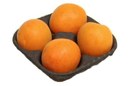 4 Apricot