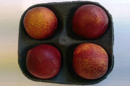 4M Fruit Packing