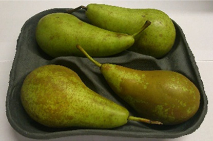 4PB 4 Fruit Packing